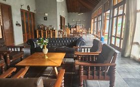 Serene Meadows Villa